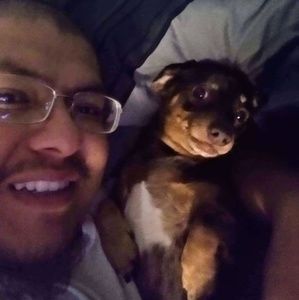 Meet your Posher, Armando